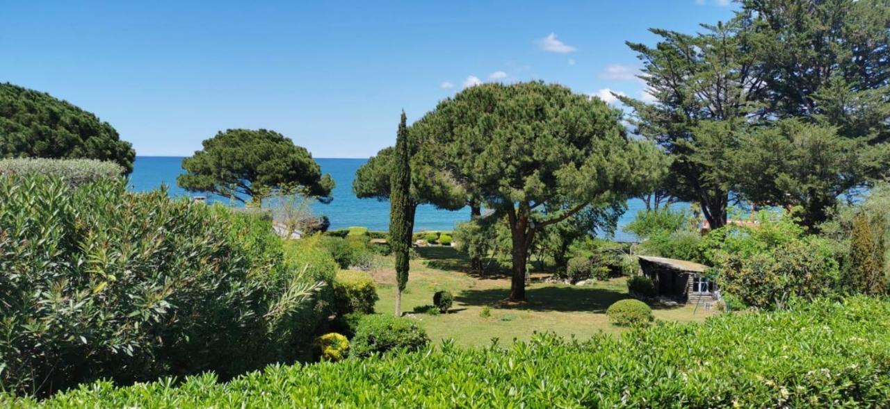 Villa I Merli Nous Contacter Avant Reservation Saint-Florent  Buitenkant foto